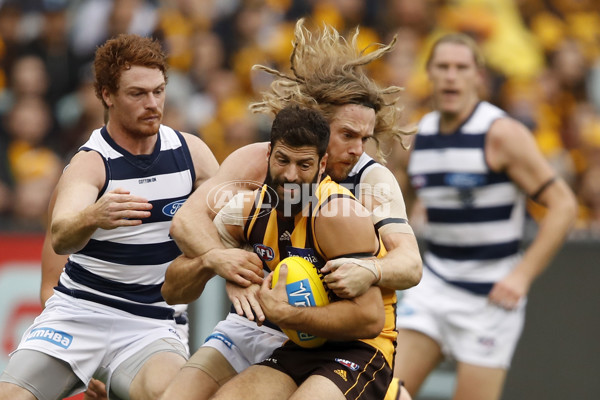 AFL 2019 Round 05 - Hawthorn v Geelong - 666554