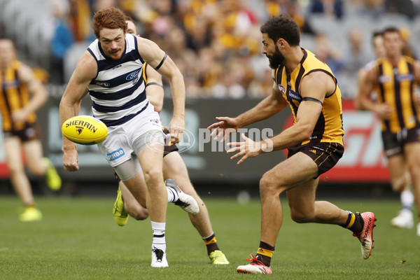 AFL 2019 Round 05 - Hawthorn v Geelong - 666553