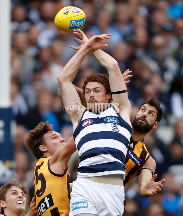 AFL 2019 Round 05 - Hawthorn v Geelong - 666551