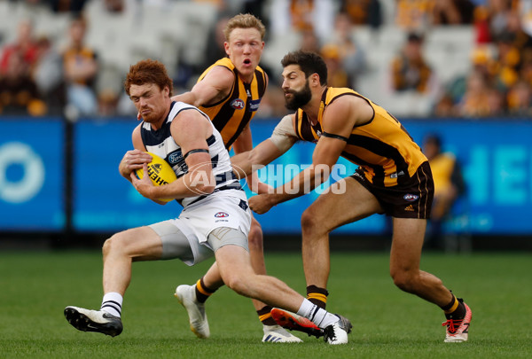 AFL 2019 Round 05 - Hawthorn v Geelong - 666660