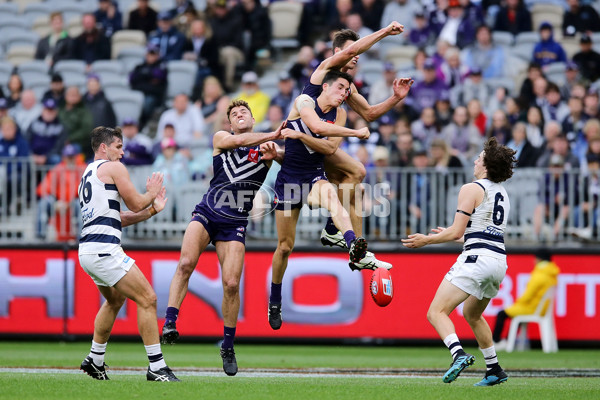 AFL 2019 Round 20 - Fremantle v Geelong - 702068