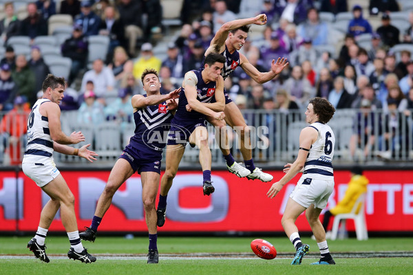 AFL 2019 Round 20 - Fremantle v Geelong - 702069