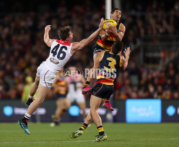 AFL 2019 Round 20 - Adelaide v St Kilda - 702457