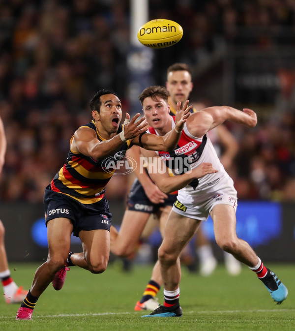 AFL 2019 Round 20 - Adelaide v St Kilda - 702459