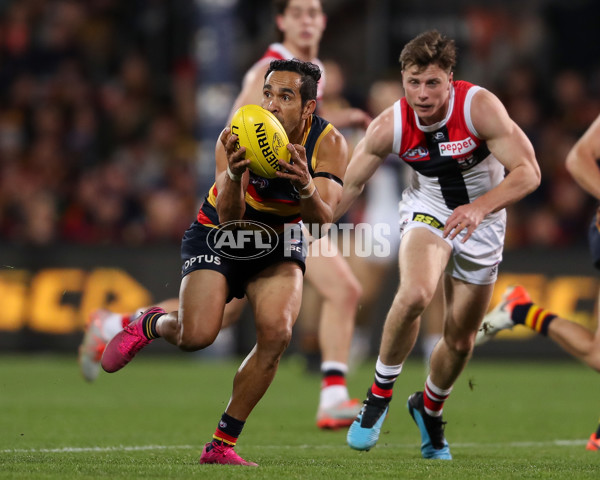 AFL 2019 Round 20 - Adelaide v St Kilda - 702461