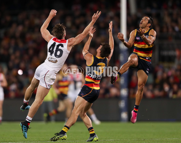 AFL 2019 Round 20 - Adelaide v St Kilda - 702458