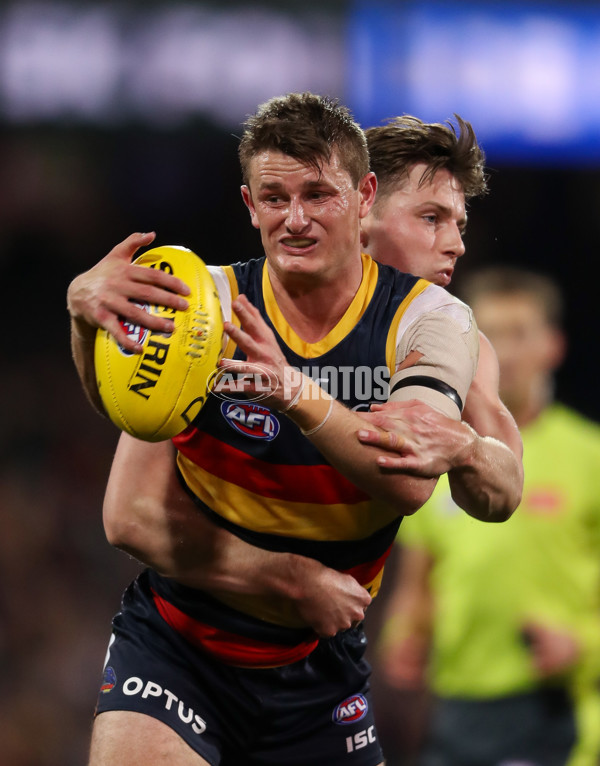 AFL 2019 Round 20 - Adelaide v St Kilda - 702469