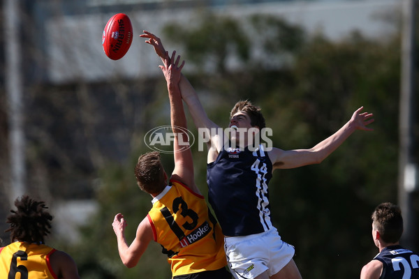 TAC 2017 Rd 18 - Geelong Falcons v Dandenong Stingrays - 547547