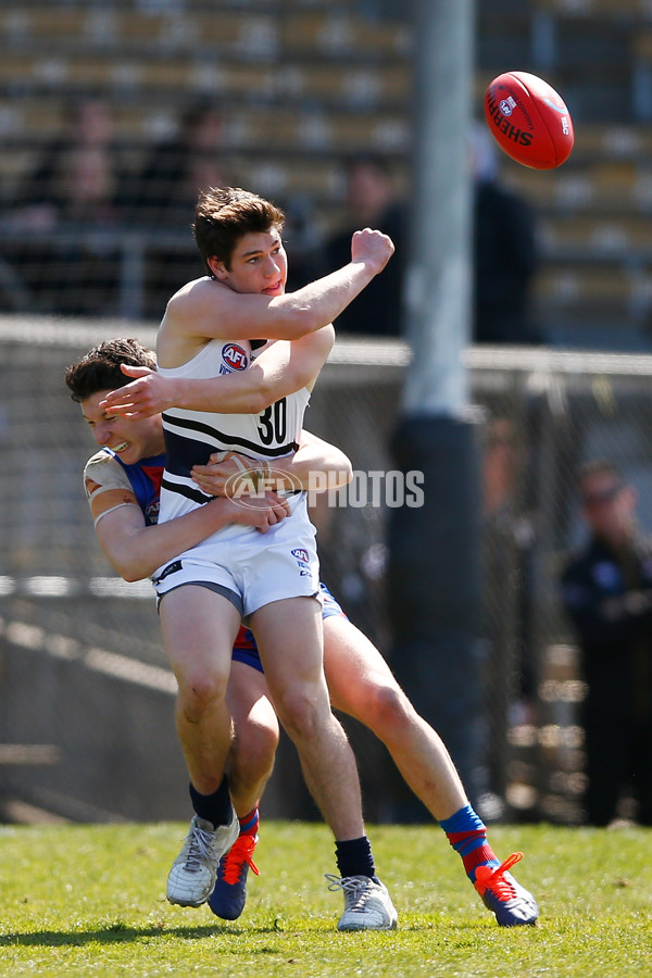 TAC CUP 2017 Final - Oakleigh Chargers v Northern Knights - 548892