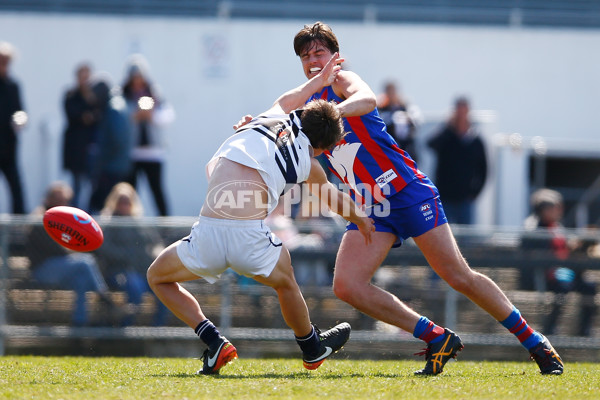 TAC CUP 2017 Final - Oakleigh Chargers v Northern Knights - 548895