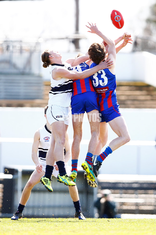 TAC CUP 2017 Final - Oakleigh Chargers v Northern Knights - 548932