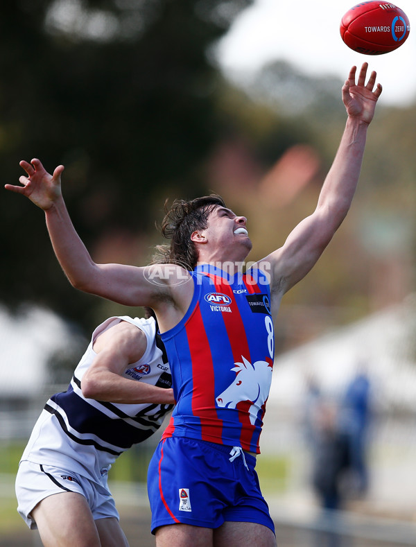 TAC CUP 2017 Final - Oakleigh Chargers v Northern Knights - 548930