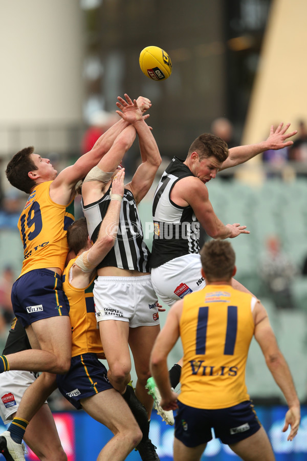 SANFL 2017 Semi Final - Port Adelaide v Eagles - 549637