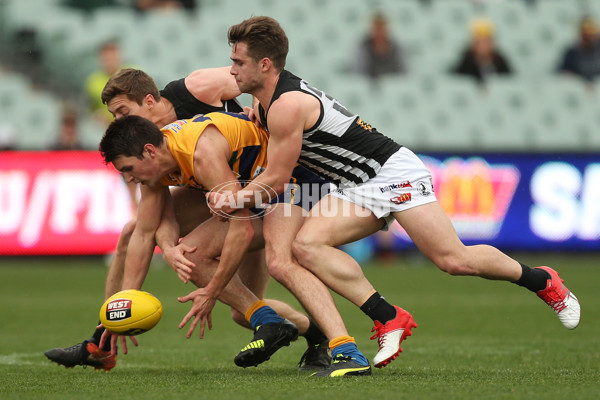 SANFL 2017 Semi Final - Port Adelaide v Eagles - 549638