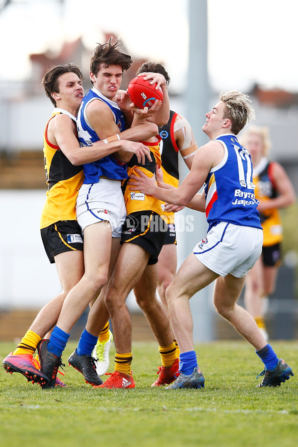 VFL 2017 Semi Final - Dandenong Stingrays v Eastern Ranges - A-30852566