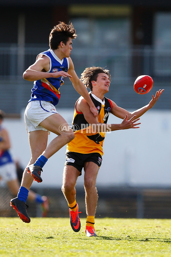 VFL 2017 Semi Final - Dandenong Stingrays v Eastern Ranges - A-30852568