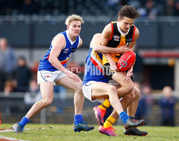 VFL 2017 Semi Final - Dandenong Stingrays v Eastern Ranges - A-30854270