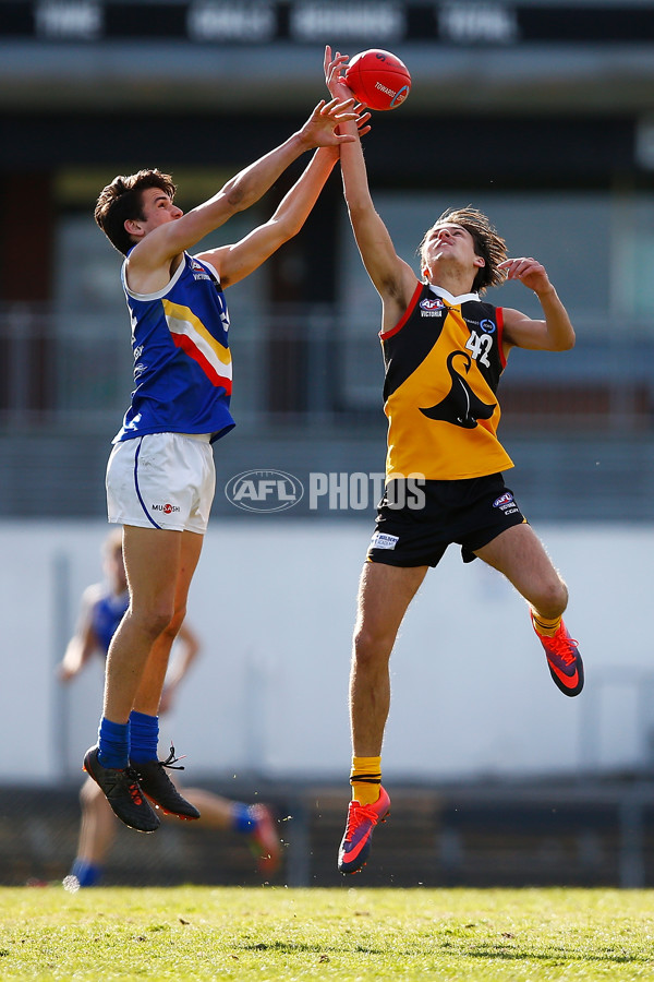 VFL 2017 Semi Final - Dandenong Stingrays v Eastern Ranges - 549843