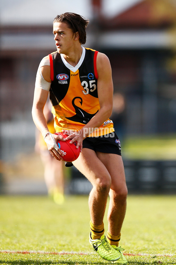 VFL 2017 Semi Final - Dandenong Stingrays v Eastern Ranges - 549845