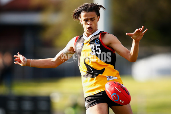 VFL 2017 Semi Final - Dandenong Stingrays v Eastern Ranges - 549849