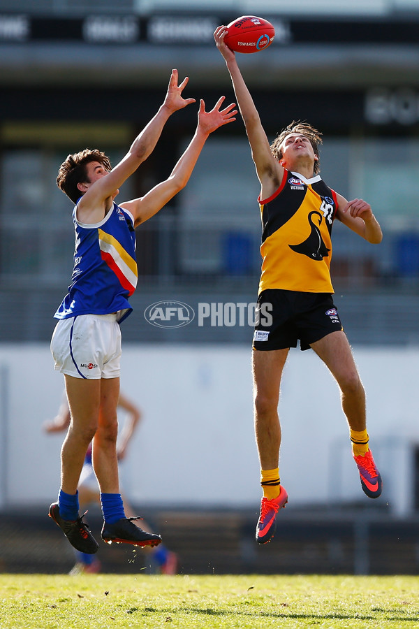 VFL 2017 Semi Final - Dandenong Stingrays v Eastern Ranges - 549844