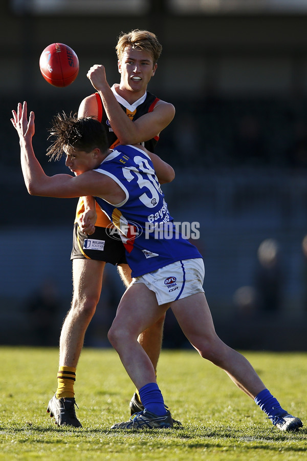 VFL 2017 Semi Final - Dandenong Stingrays v Eastern Ranges - 550395