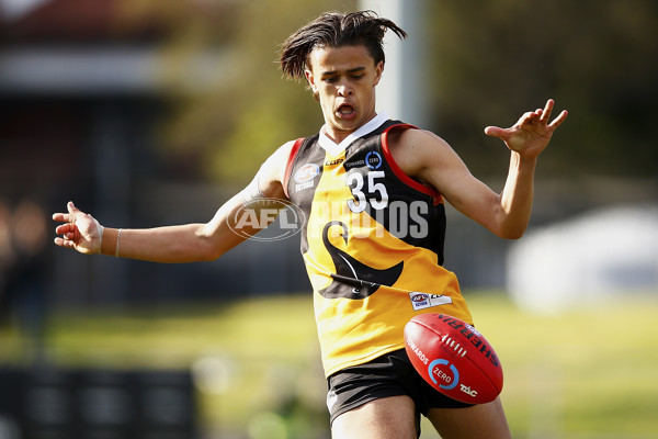 VFL 2017 Semi Final - Dandenong Stingrays v Eastern Ranges - A-30866148