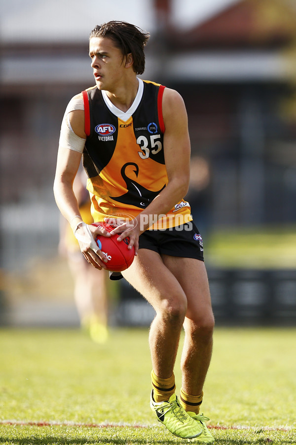 VFL 2017 Semi Final - Dandenong Stingrays v Eastern Ranges - 550415