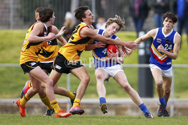 VFL 2017 Semi Final - Dandenong Stingrays v Eastern Ranges - 550456