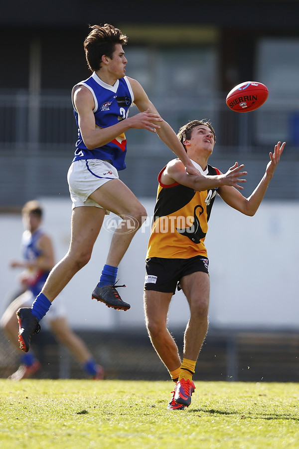 VFL 2017 Semi Final - Dandenong Stingrays v Eastern Ranges - 550446