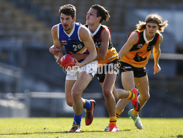 VFL 2017 Semi Final - Dandenong Stingrays v Eastern Ranges - 550427