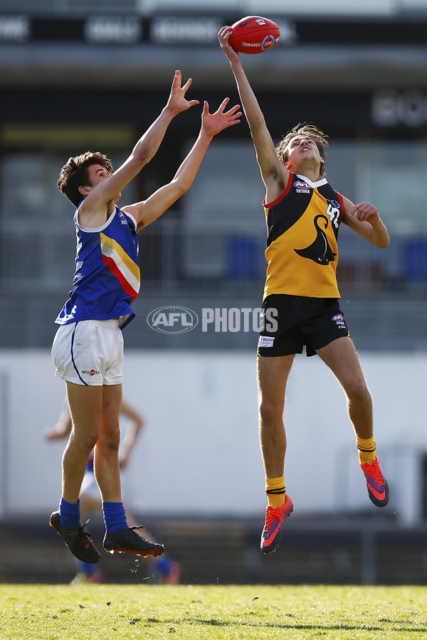 VFL 2017 Semi Final - Dandenong Stingrays v Eastern Ranges - A-30868547