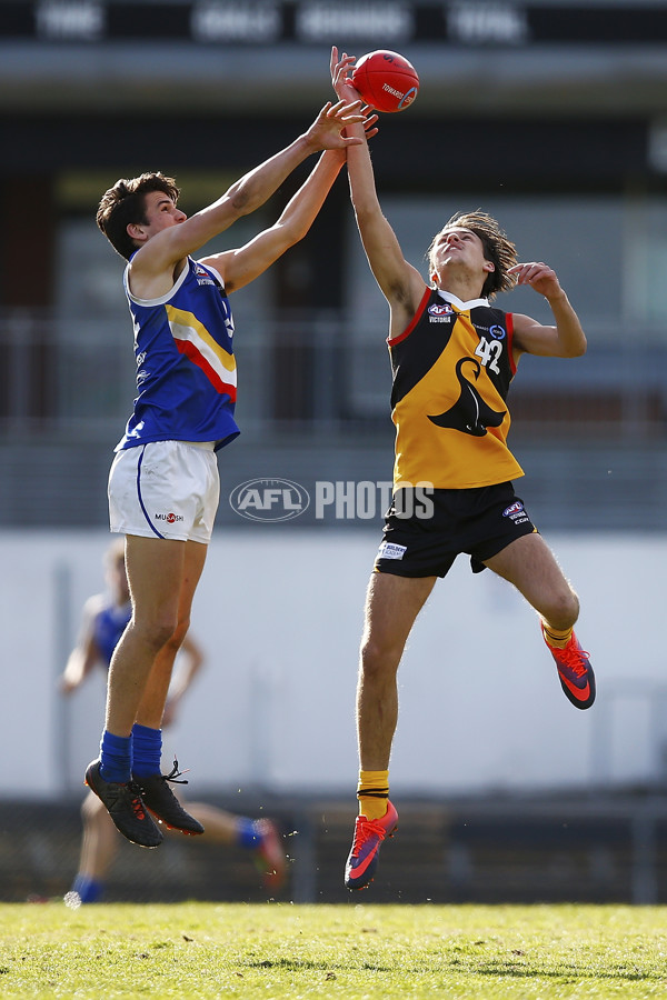 VFL 2017 Semi Final - Dandenong Stingrays v Eastern Ranges - 550447