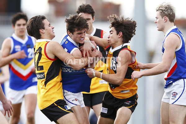 VFL 2017 Semi Final - Dandenong Stingrays v Eastern Ranges - 550452