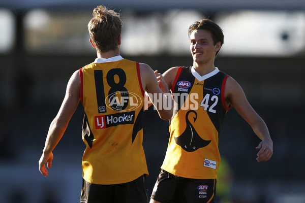 VFL 2017 Semi Final - Dandenong Stingrays v Eastern Ranges - 550444