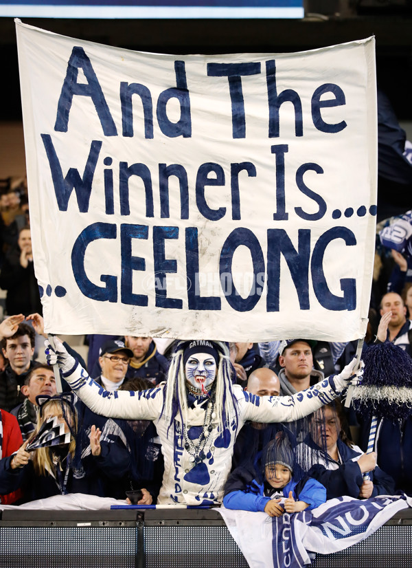 AFL 2017 Second Semi Final - Geelong v Sydney - 550759