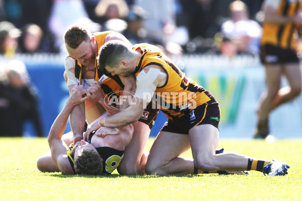 VFL 2017 Preliminary Final - Box Hill Hawks v Richmond - 550833