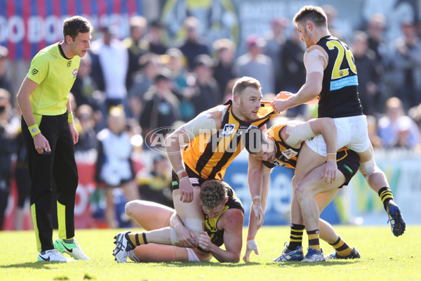 VFL 2017 Preliminary Final - Box Hill Hawks v Richmond - 550838