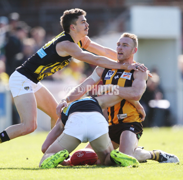 VFL 2017 Preliminary Final - Box Hill Hawks v Richmond - 550840