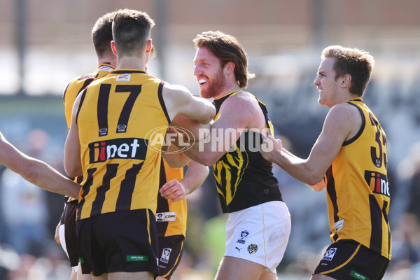 VFL 2017 Preliminary Final - Box Hill Hawks v Richmond - 550830