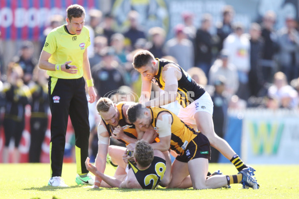 VFL 2017 Preliminary Final - Box Hill Hawks v Richmond - 550836