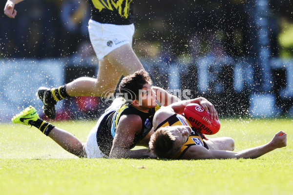 VFL 2017 Preliminary Final - Box Hill Hawks v Richmond - 550826