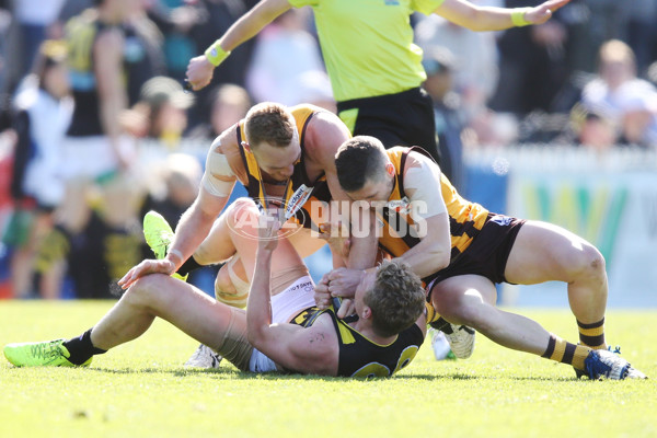 VFL 2017 Preliminary Final - Box Hill Hawks v Richmond - 550834