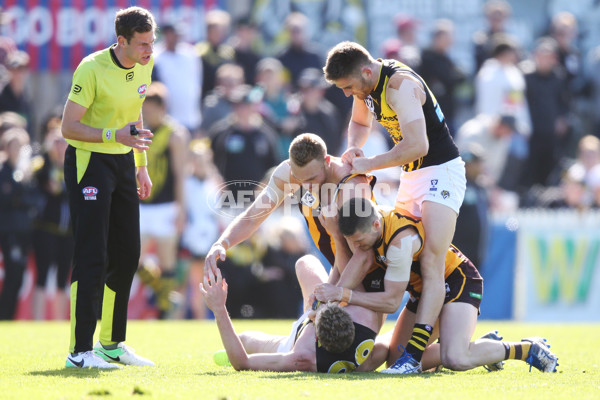 VFL 2017 Preliminary Final - Box Hill Hawks v Richmond - 550837