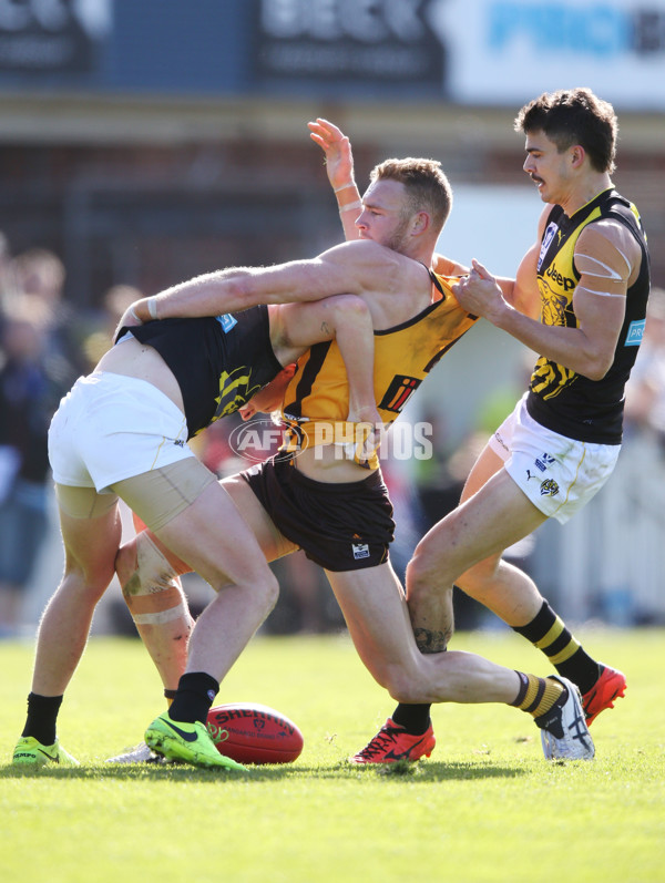 VFL 2017 Preliminary Final - Box Hill Hawks v Richmond - 550841