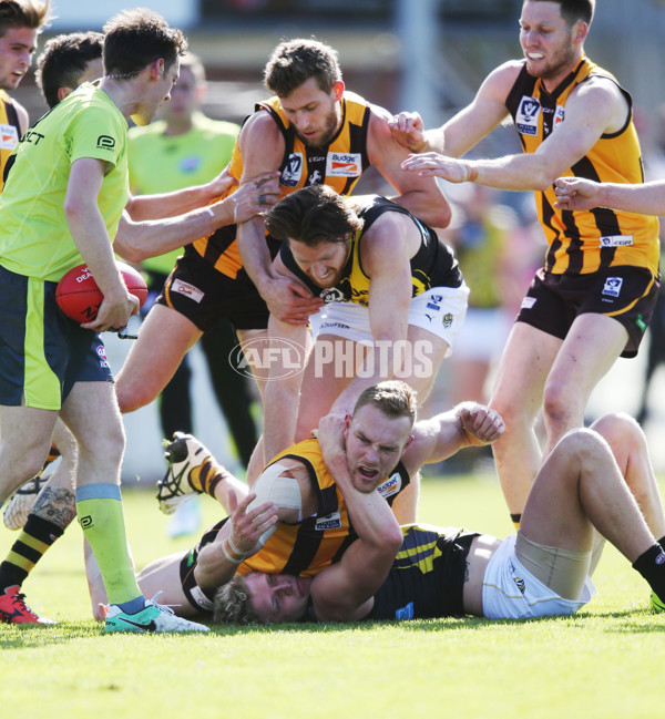 VFL 2017 Preliminary Final - Box Hill Hawks v Richmond - 550865