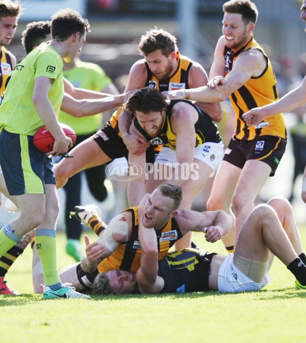 VFL 2017 Preliminary Final - Box Hill Hawks v Richmond - 550866