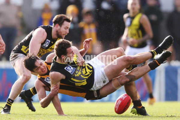 VFL 2017 Preliminary Final - Box Hill Hawks v Richmond - 550918