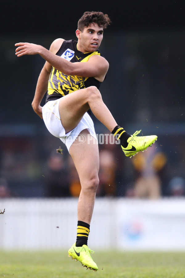 VFL 2017 Preliminary Final - Box Hill Hawks v Richmond - 550922