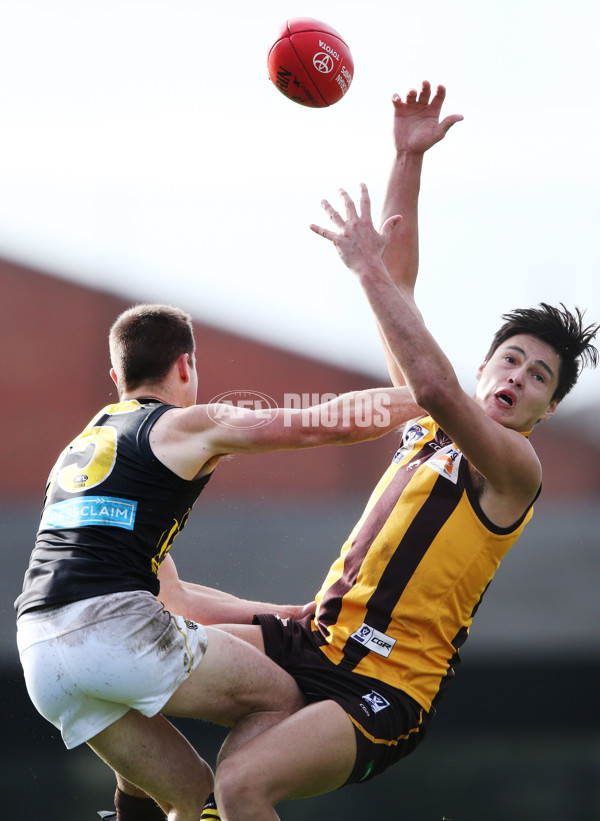 VFL 2017 Preliminary Final - Box Hill Hawks v Richmond - 550920